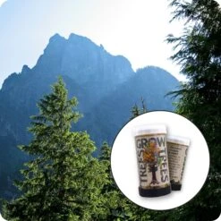 Western Hemlock | Mini-Grow Kit