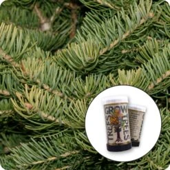 White Fir | Mini-Grow Kit