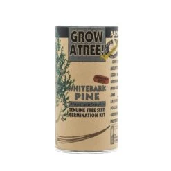 Whitebark Pine | Seed Grow Kit