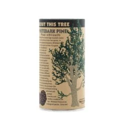 Whitebark Pine | Seed Grow Kit -Evergreen Plants Shop Whitebark Pine 11