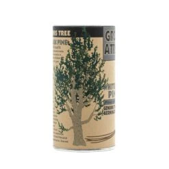Whitebark Pine | Seed Grow Kit -Evergreen Plants Shop Whitebark Pine 7