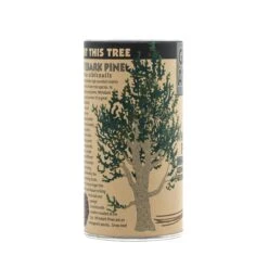 Whitebark Pine | Seed Grow Kit -Evergreen Plants Shop Whitebark Pine 9