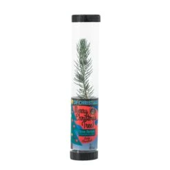 Living Christmas Tree | Blue Spruce