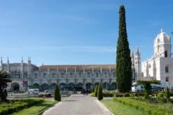 Italian Cypress | Medium Tree Seedling -Evergreen Plants Shop italian cypress palace small 6db48083 7ee5 49e5 9756 dda6b96c884c